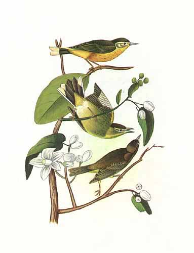 Seidenmalerei