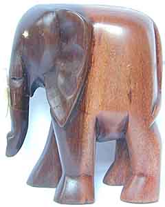 Elefant, 