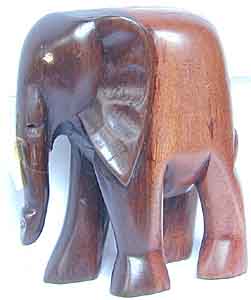 Elefant, 