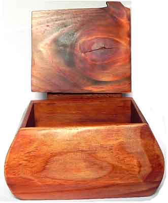 Holzkstchen Elliotiskiefer